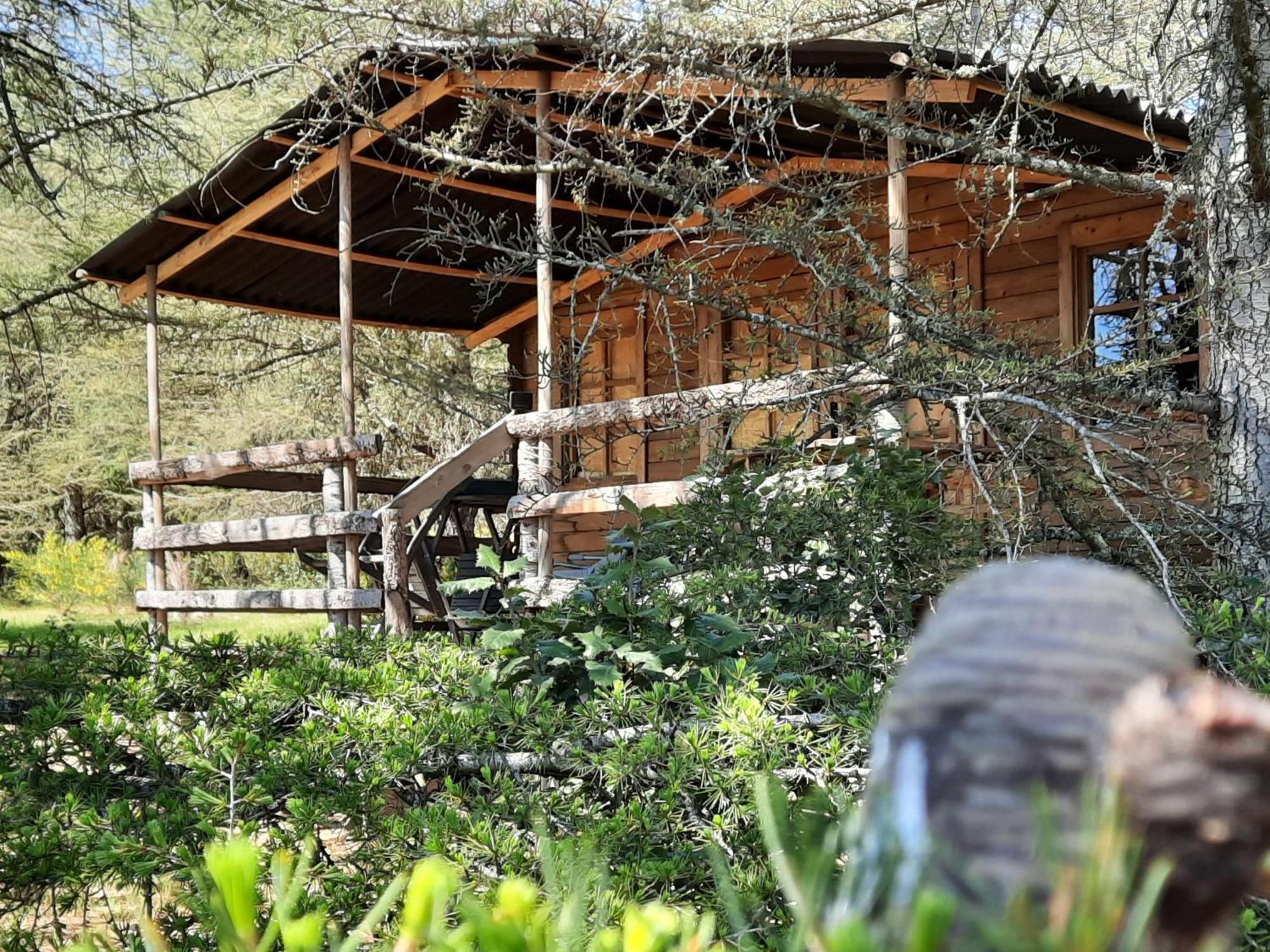 Domaine De La Vitarelle Glamping Villaniere Екстер'єр фото