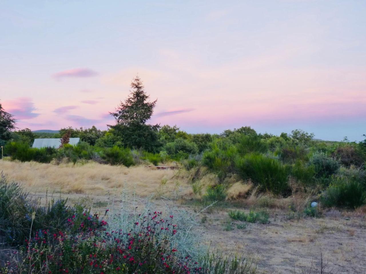 Domaine De La Vitarelle Glamping Villaniere Екстер'єр фото